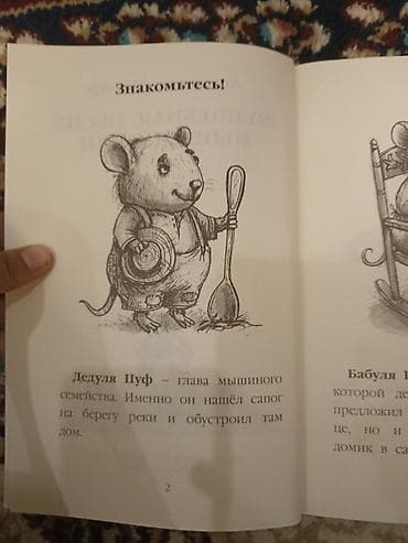 берен: Книга для детей: «Волшебная песня мышки Поли» - Автор: Анастасия — 4