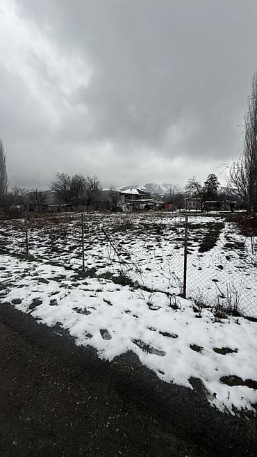 медеров: 5 соток, Кызыл китеп — 3