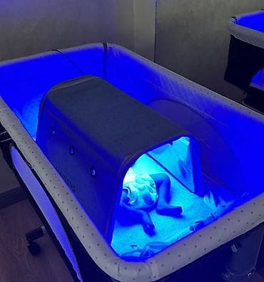 Медицинские лампы: Фотолампа для лечения желтушки у новорождённых MAINENG - — 6