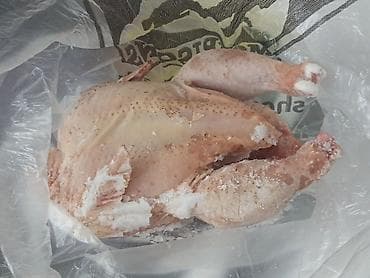 бедро куриное: Курица. халал өзүм сойгон, кг 330дан - Вид: тушка куриная без пера — 1