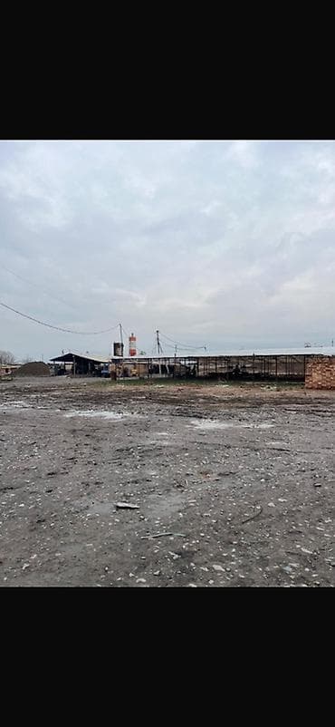 кирпичный завод кант: Завод, С оборудованием, 20000 м² — 4