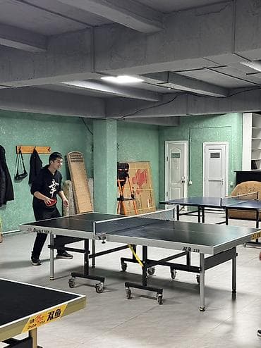 теннисный столик: Профессиональный теннисный столы Double Fish - Игровая поверхность — 6