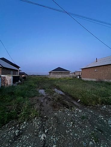мурас: 4 соток — 1