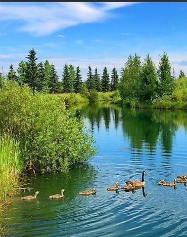 Требуется срочно повар в горячий цех