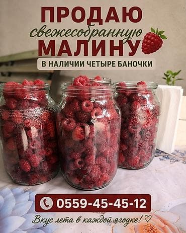 продать мёд: Малина В розницу — 1