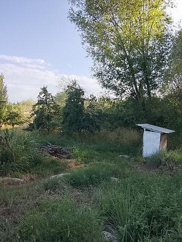 нуран парк: Участок без дома . - Просторный участок с естественным рельефом — 3