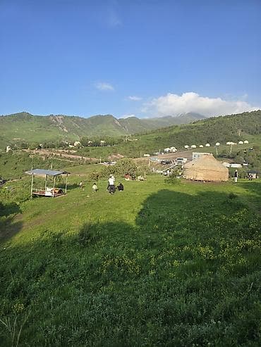 электро велик каракол: Боз үйлөрдү ижаралоо, Каркасы Жыгач, 100 баш, Казан, Идиш-аяк, Полу менен — 6