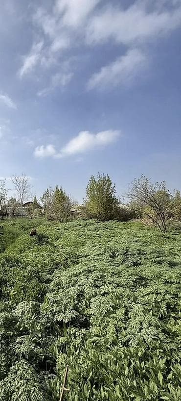 пл: 450 соток, Для строительства, Красная книга — 3