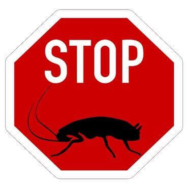 уничтожение клоп блох: Дезинфекция, дезинсекция, | Блохи, Вирусы, микробы, Клопы, | Офисы, Дворы, Дома — 4