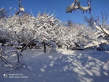 4: 🏡 Продаётся 4-комнатный кирпичный дом с участком! 📍 Локация: ж/м — 9