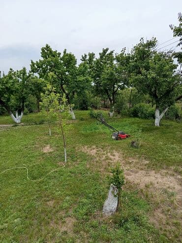 дом ищу: Дача, 1 м², 3 комнаты, Собственник, Старый ремонт — 3