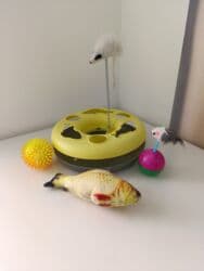 чемоданы бишкек дордой цены: Спорттук сумка, Материалы: Эко булгаары, Балдага, Колдонулган — 2