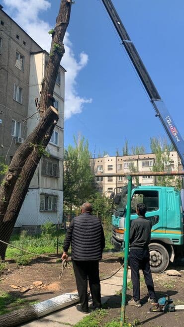 манопулятор: Стрела 8 м, 3 т, Борт 9000 кг — 1