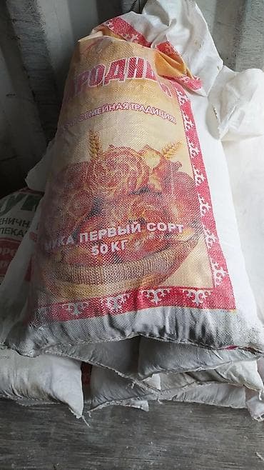 Продаю мешки мучные по 50 кг размер 105/55 в любг количество есть есть at lalafo.kg Продаю мешки мучные по 50 кг размер 105/55 в любг количество есть есть