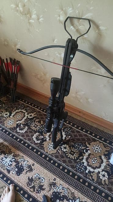 наружный чехол: MK 185 
Арбалет с оптикой. 80кг.
20 стрел.

Только сегодня такая цена — 3