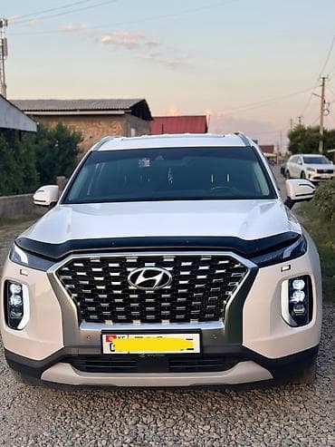 козырьки на авто: Hyundai Palisade: 2020 г., 2.2 л, Дизель, Кроссовер — 1