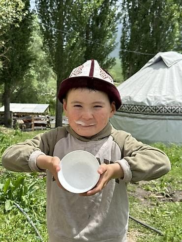 мужская толстовка: Традиционный кумыс из свежего кобыльего молока - Натуральный — 1
