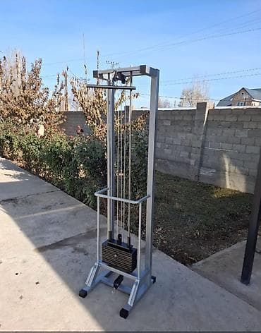 Лыжалар: Булчуң машыктыргыч, Арка үчүн — 1