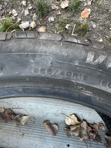 шины а т: Шины — 4