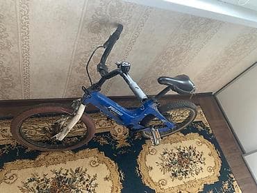 Балдар үчүн велосипеддер: Өспүрүм балдар үчүн велосипед, Колдонулган — 2