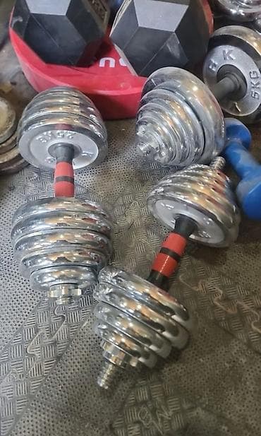 Разборные гантели с хромированными дисками - Тип: разборные гантели с