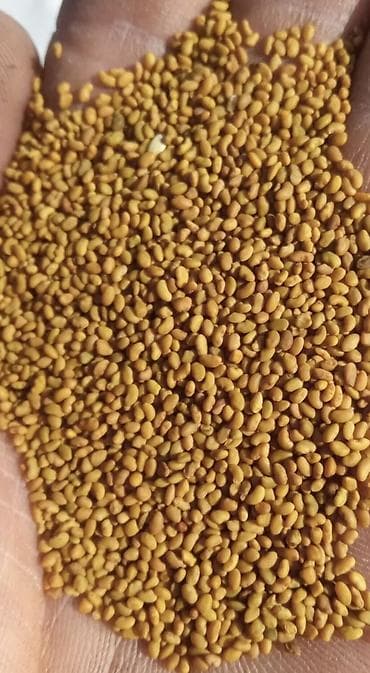 горох семена: Семена кормовых растений: Люцерна, Самовывоз, Платная доставка — 3