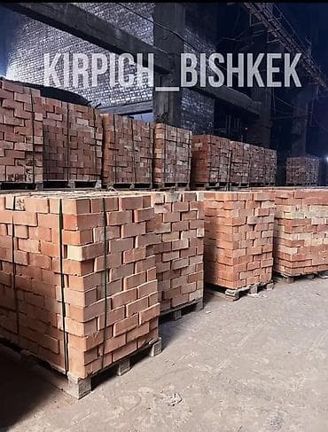 Тешиктүү, Бышкан кирпич, Жарым блок, 250×120×85