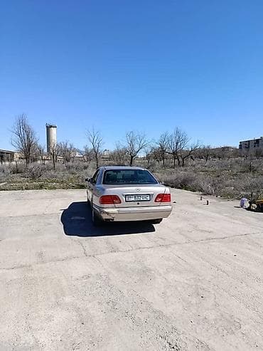 дерево на мерседес: Mercedes-Benz E-Class: 1999 г., 2.2 л, Автомат, Дизель, Седан — 2