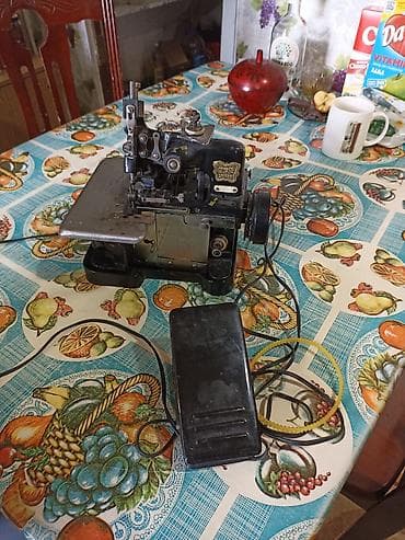 3 жиптүү — 1