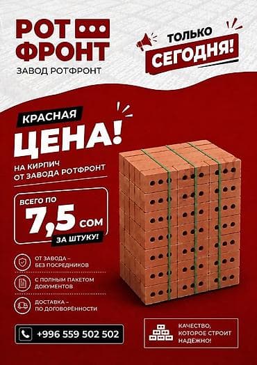 стройител: Пустотелый, дырчатый, Жженый кирпич, Полублок, 250×120×88 — 1