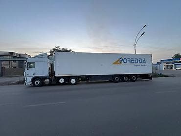 спиринтер реф: Тягач, DAF, 2009 г., Холодильник, рефрижератор — 2