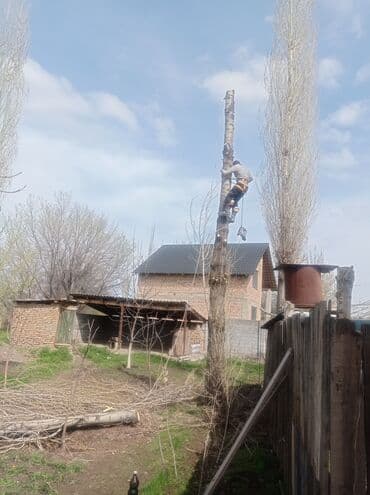 цены на строительные работы в бишкеке 2022: Услуги арбориста обследование дерева и экспертная оценка его — 4