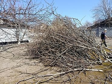 скупаю дрова: Дрова — 2