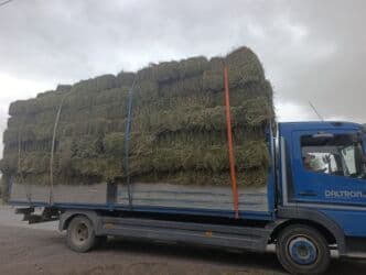 Беде Беде Беде Клевер Клевер доставка укладка эсть. туки метровые
