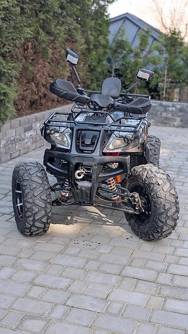 Квадроцикл утилитарного типа, полноразмерный, 4х2. Основные