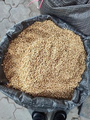 тыква японка: Семена перца сорт ласточка всходнось 99 % — 5