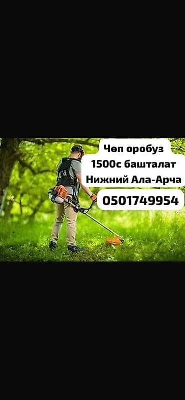 Клининг кызматтары: Аймактарды жыйнап тазалоо, Газон чабуу — 1