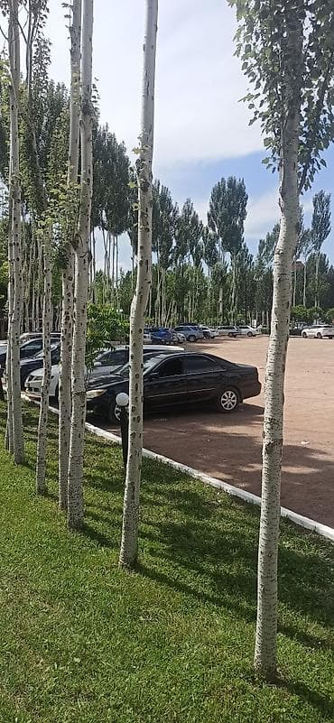 chery tiggo: Toyota Camry: 2004 г., 2.4 л, Автомат, Бензин — 3