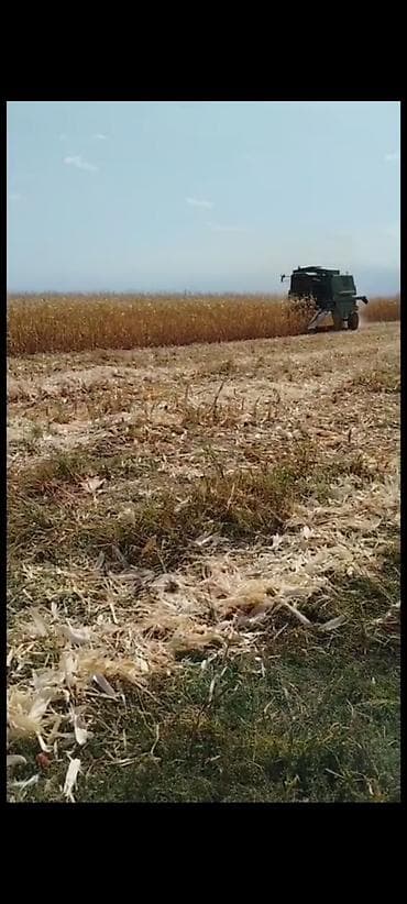 муравей китайский: Нужны комбайнерытрактористытрактора новые китайцынужны опытные — 2