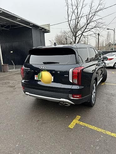 elm327 bluetooth: Hyundai Palisade: 2019 г., 2.2 л, Автомат, Дизель, Минивэн — 4