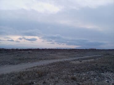 комната с подселением долгосрочно: 6 соток, Для строительства, Красная книга, Генеральная доверенность — 5