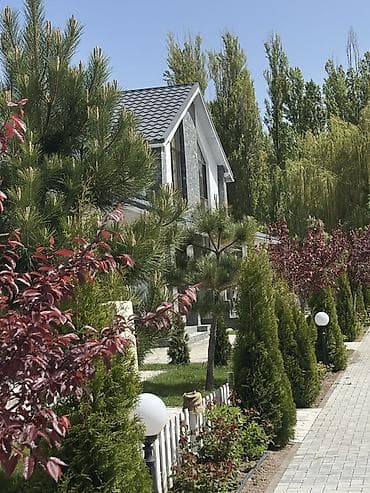 Иссык-Куль 2026: Коттедж, Коттедж ЦО Chaika Resort — 2