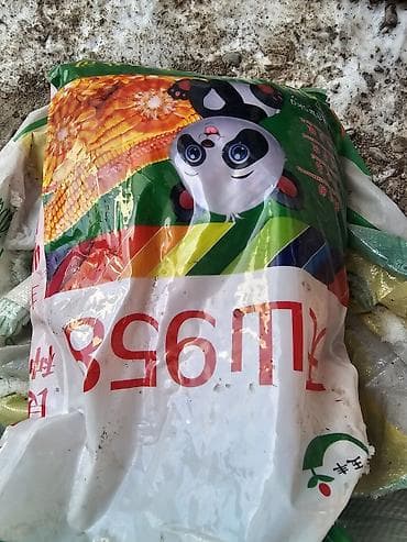 рисовый отрубь: Семена люцерна,очищенный,магниченый,8летка Оптом и в розницу — 9