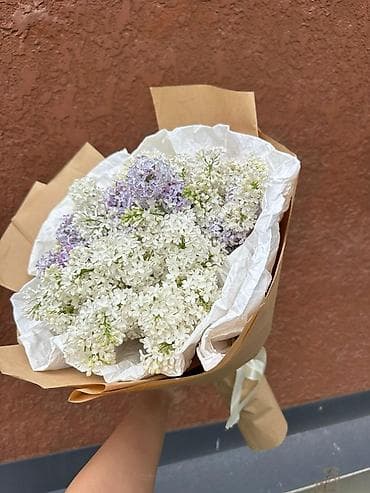 Букет из сирени за дешево 4500 2000 БЫСТРО И КАЧЕСТВЕННО И ДЕШЕВО - — 4