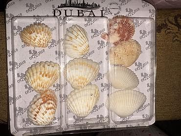 arctic mx4: Натюрморт акварель авторск раб молод художницы разм А-4 Гравюра по — 7