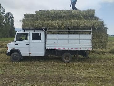 мотоцикл бенда: Легкий грузовик, Mercedes-Benz, Дубль, Б/у — 10