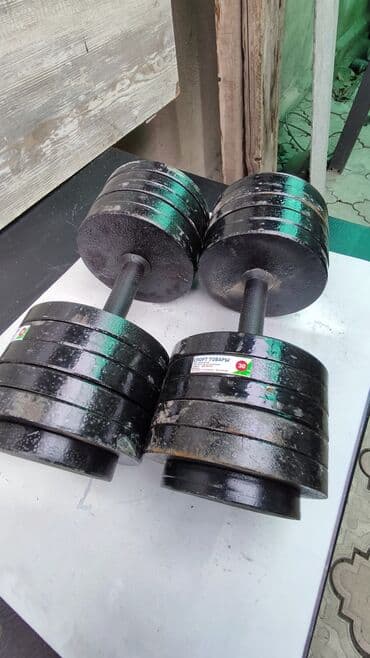 купить велосипед с широкими колесами бу: Гантели железные разборные Вес одной гантели 30кг Общий вес 60кг — 1
