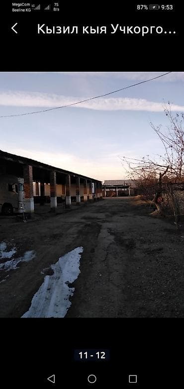 Квартиры: 49 соток, Для бизнеса, Красная книга — 1