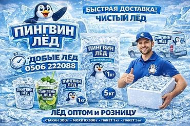 Пингвин Лёд — чистый кристальный лёд для напитков и коктейлей at lalafo.kg Пингвин Лёд — чистый кристальный лёд для напитков и коктейлей