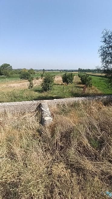 джал сдаю: 30 соток, Для бизнеса, Договор дарения — 4